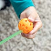 v0103928_060_mkt1
