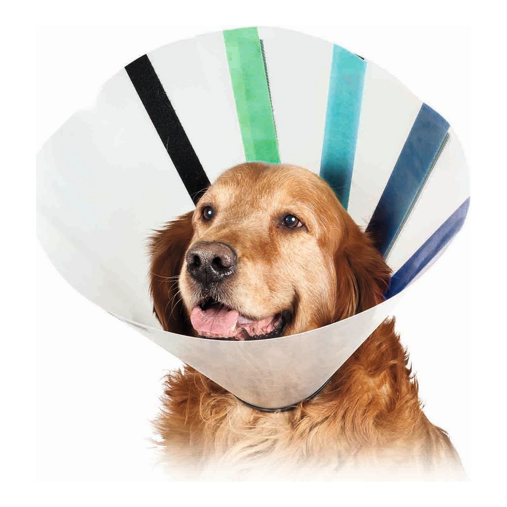 Kvp dog cone best sale