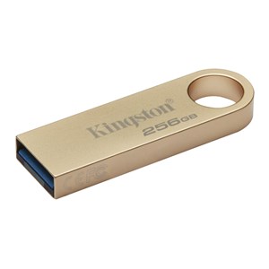 Ključ USB Kingston DTSE9G3/256GB 256 GB Zlat