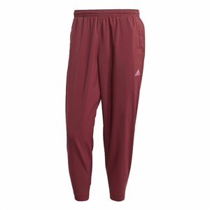 Hlače za Treniranje Nogometa za Odrasle Adidas Moški L