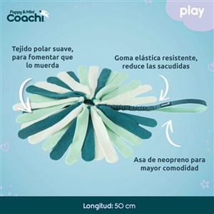 Orma za pse Coachi