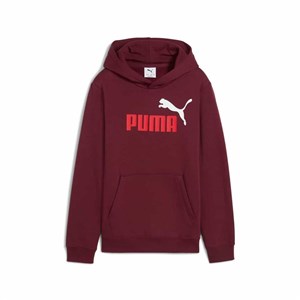 Pulover s Kapuco za Punčke Puma Essentials 2 Color No. 1 Granatna